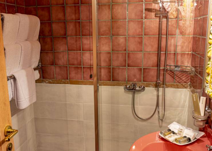 Classic room with french bed Hotel Boccaccio**** PISA-CALCINAIA