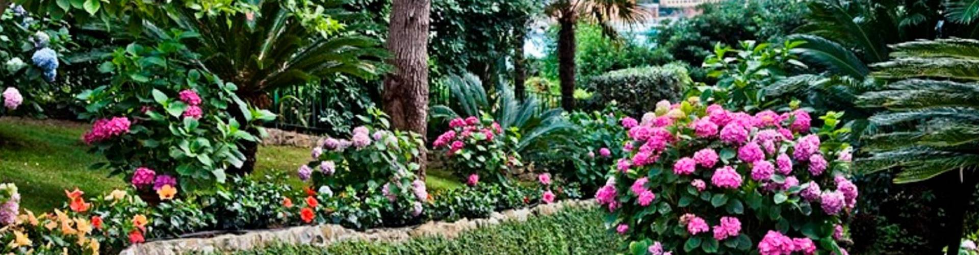 Space Hotels - SANTA MARGHERITA LIGURE - Space Hotels - SANTA MARGHERITA LIGURE -