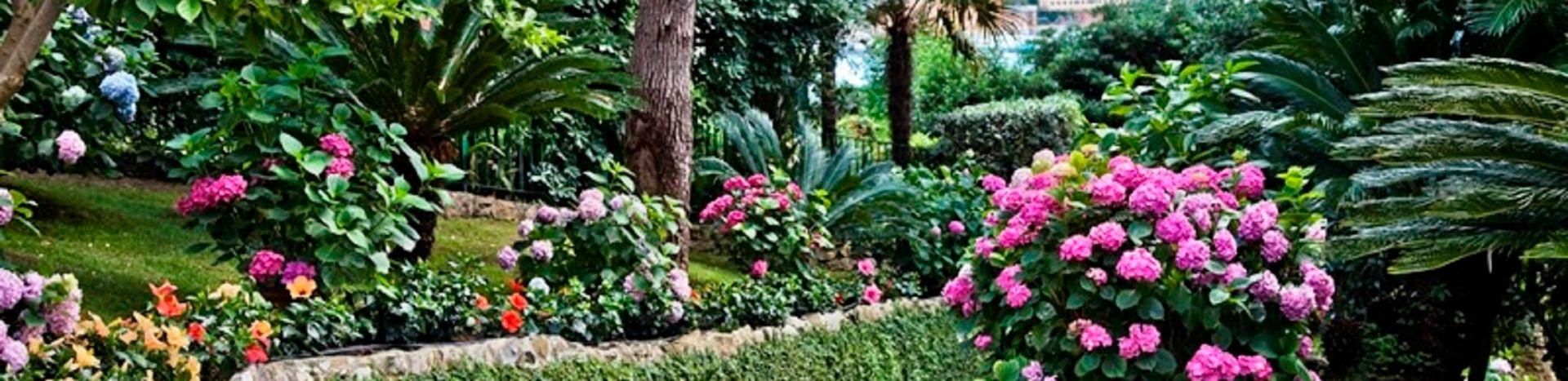 Space Hotels - SANTA MARGHERITA LIGURE - 